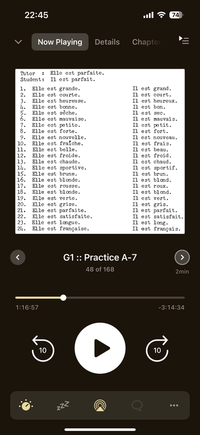 Screenshot of the podcast in Pocket Casts